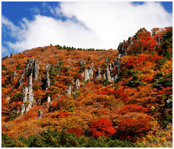 漢拏山の紅葉