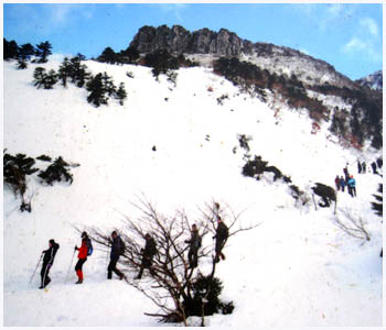 冬漢拏山の登山客