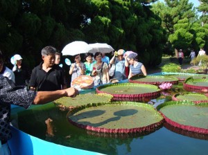 済州翰林公園