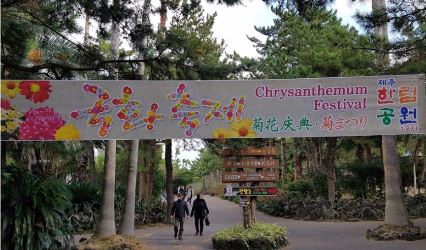 第26回翰林公園菊祭