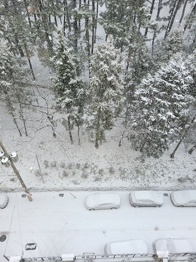今日済州島は雪がとてもたくさん降っています。