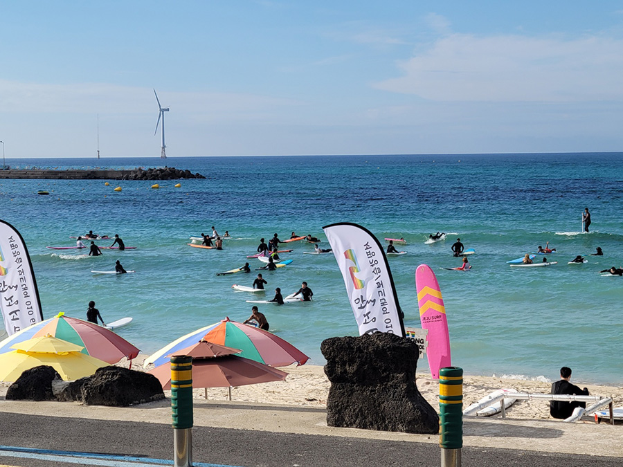 済州島の海でサーフィンする人々。